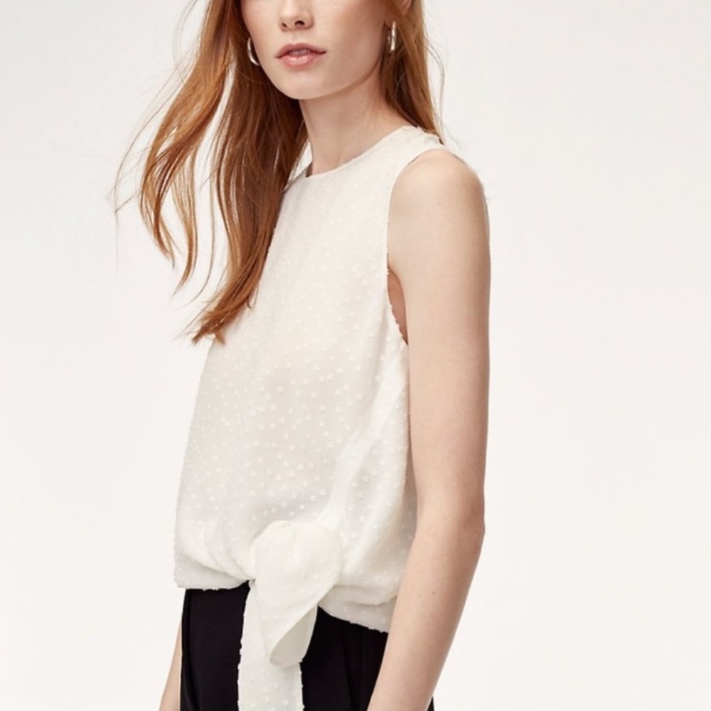 Aritzia Babaton Hopkins Blouse Tie-Front Blouse